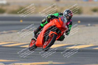 media/Jan-19-2024-Apex Assassins-CVMA Friday (Fri) [[74e94f2102]]/Trackday 1/Session 2 (Turn 11)/